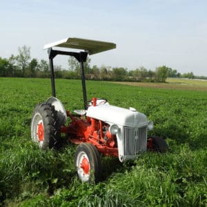 Ford tractor with canopy